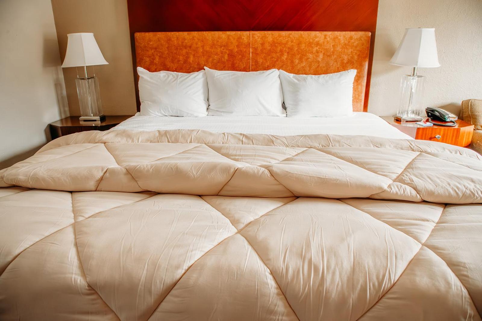 Benton Country Garden & Suites מראה חיצוני תמונה